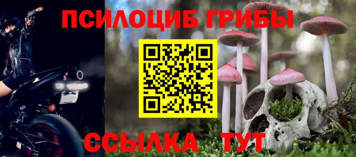 даркнет сайт  Галлюциногенные грибы Psilocybe  Вход с VPN  Псилоцибиновые грибы MAGIC MUSHROOMS  Шатура 